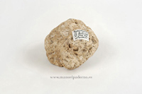 De los cimientos de Punta Brava. 2001. 