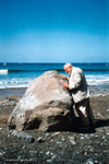 Padorno-S&iacute;sifo en el sur de Tenerife, 2000.