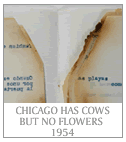 CHICAGO HAS COWS BUT NO FLOWERS 1954